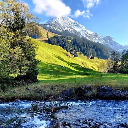 Apartment Laerchehuus By Interhome Adelboden Zewnętrze zdjęcie