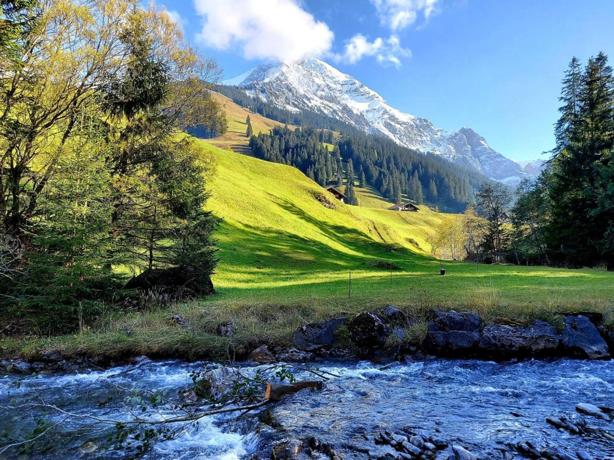 Apartment Laerchehuus By Interhome Adelboden Zewnętrze zdjęcie