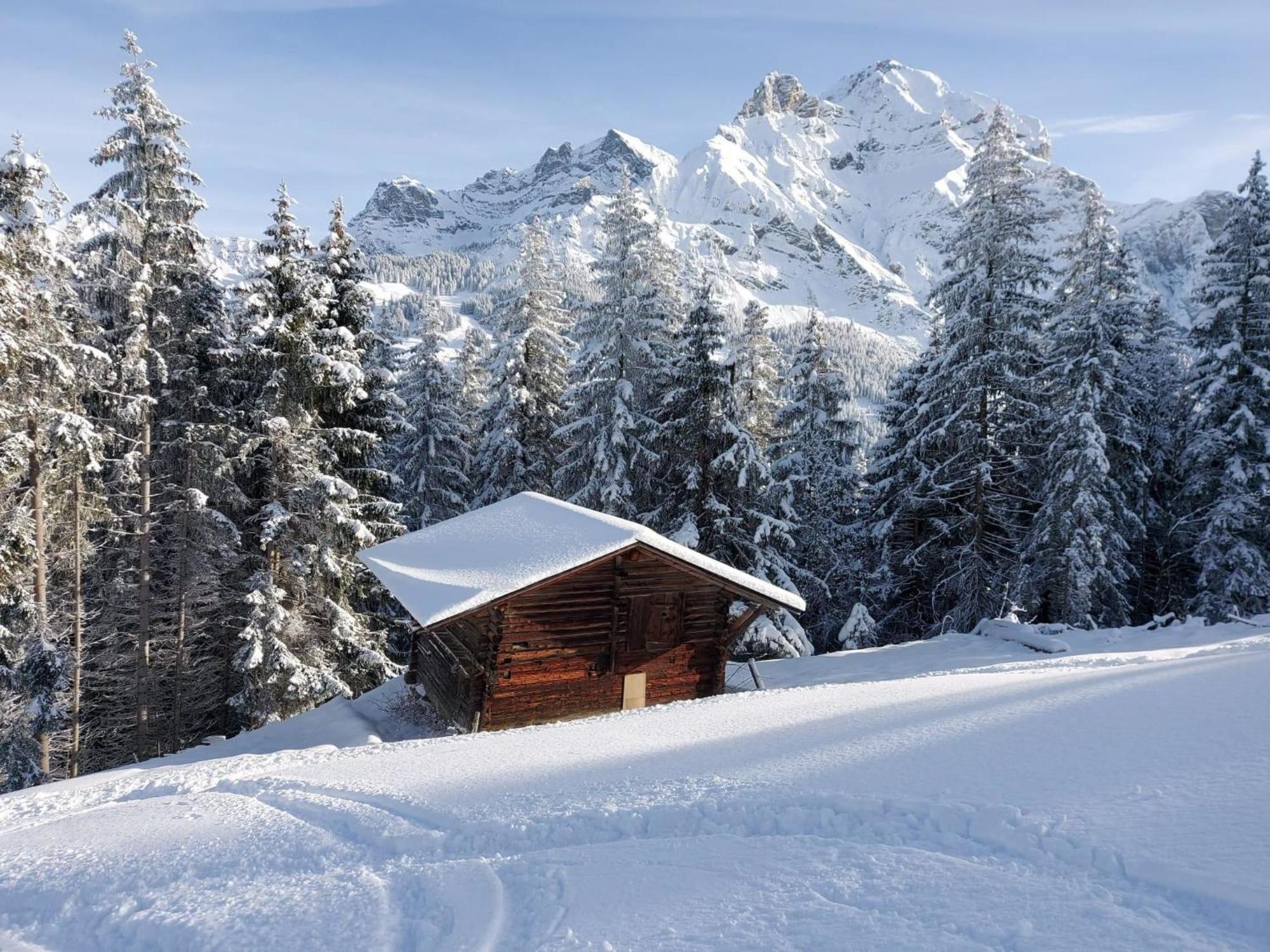Apartment Laerchehuus By Interhome Adelboden Zewnętrze zdjęcie