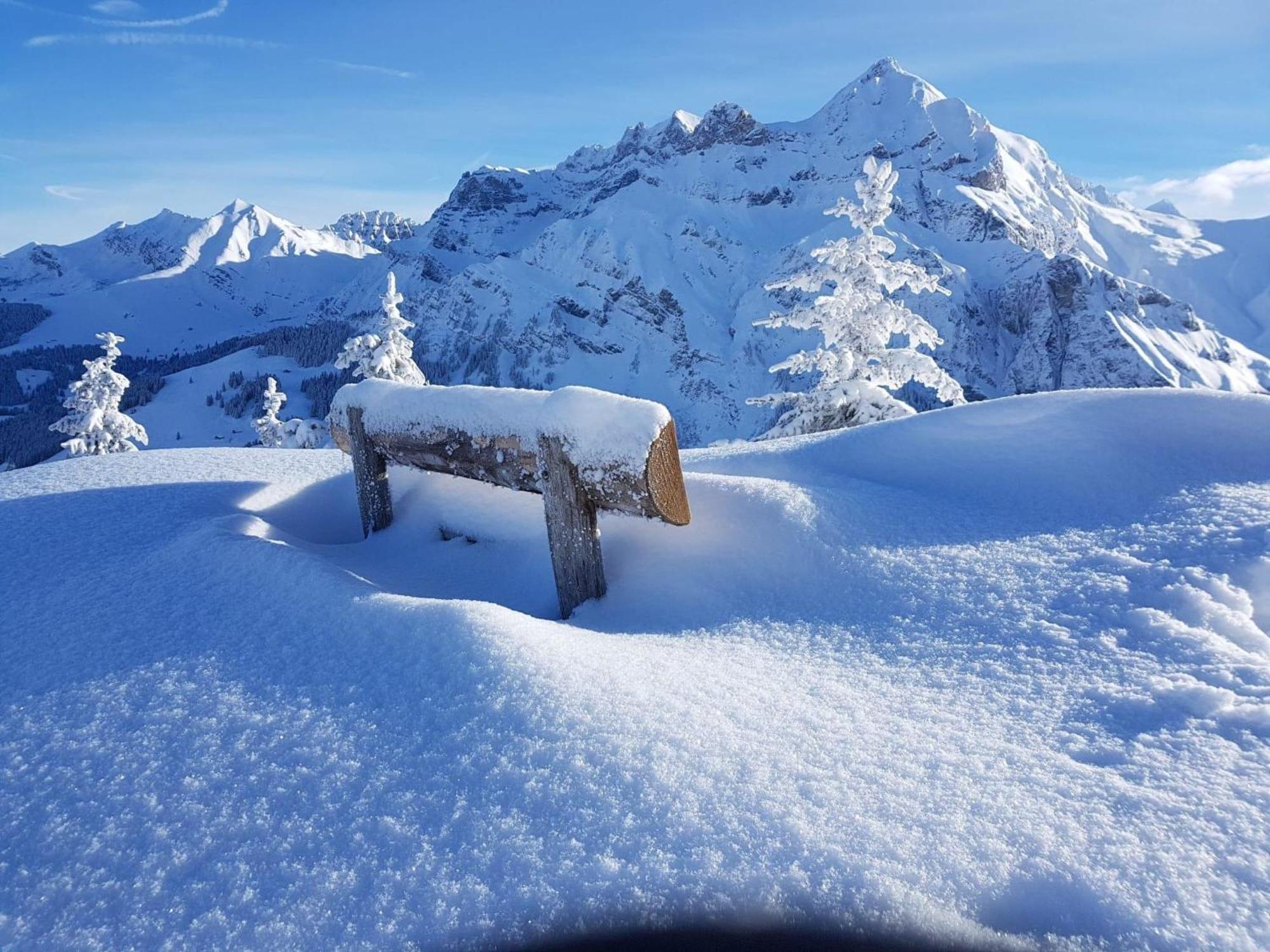 Apartment Laerchehuus By Interhome Adelboden Zewnętrze zdjęcie