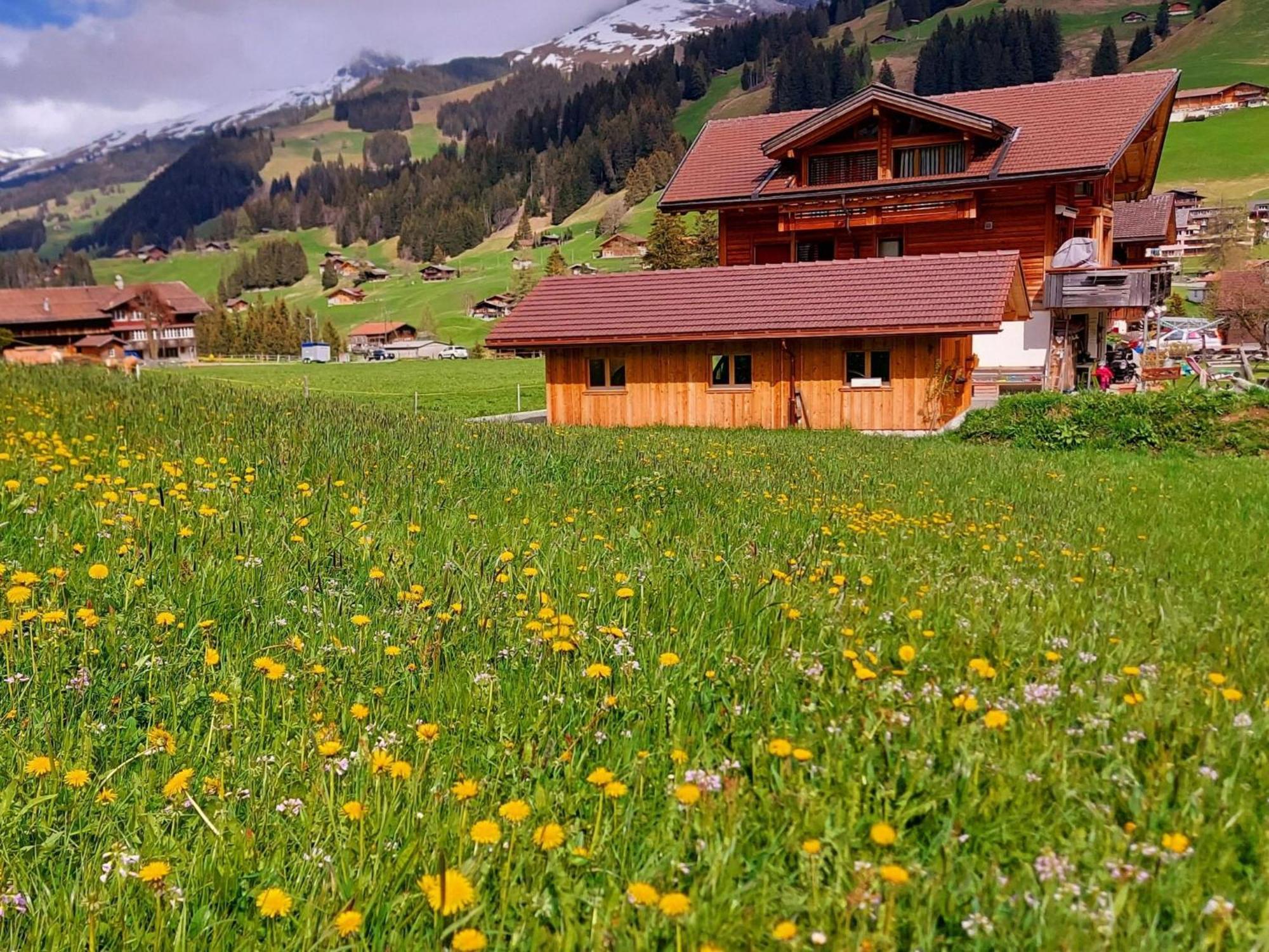 Apartment Laerchehuus By Interhome Adelboden Zewnętrze zdjęcie