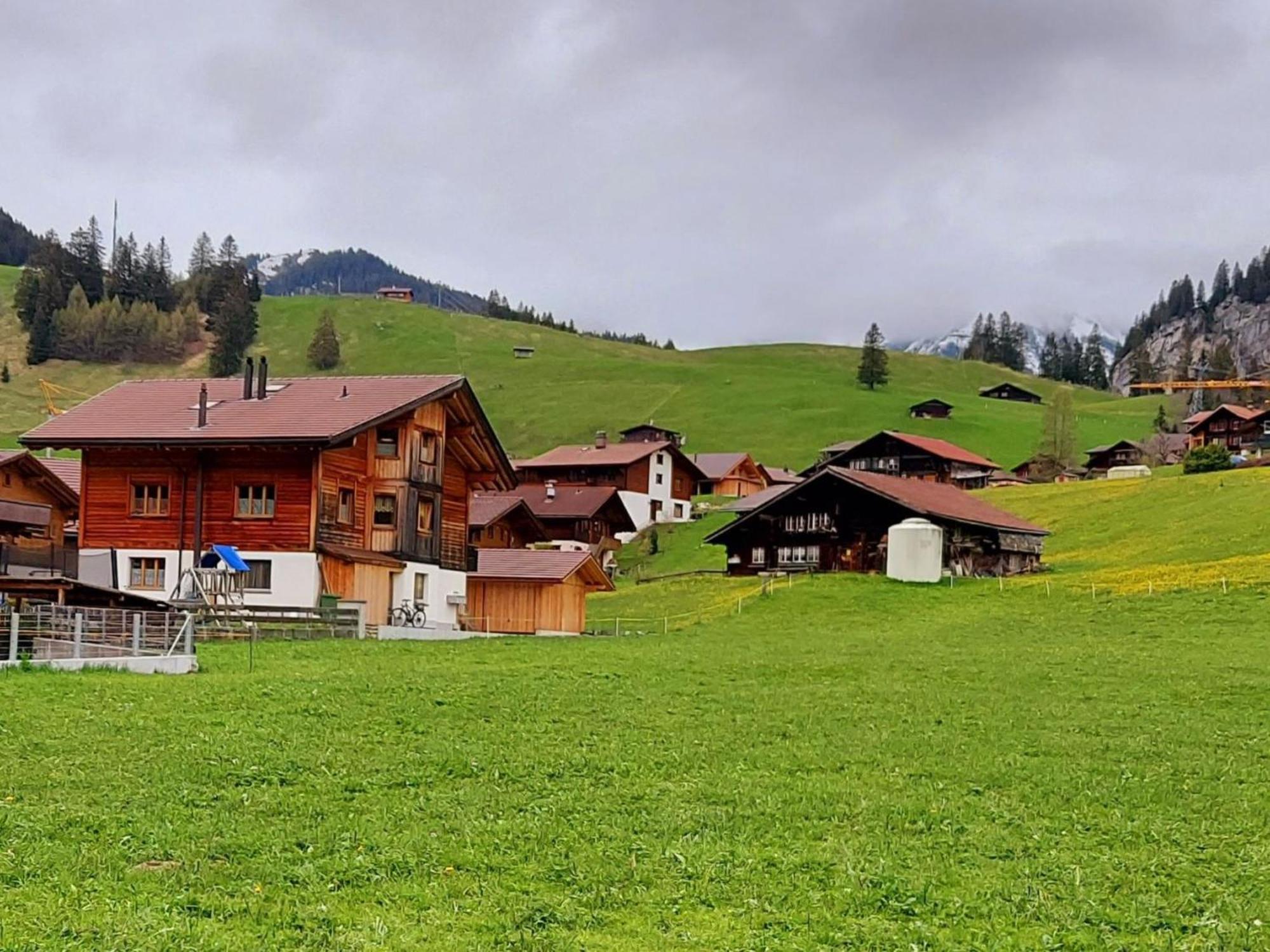 Apartment Laerchehuus By Interhome Adelboden Zewnętrze zdjęcie